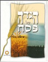 הגדה של פסח לחיילי צה"ל H/C HEBREW IDF HAGGADAH