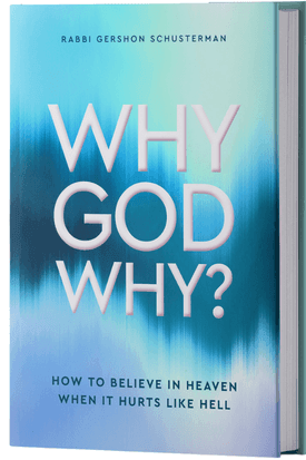 Why God Why? (Schusterman)