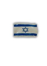Isreali Flag Magnet