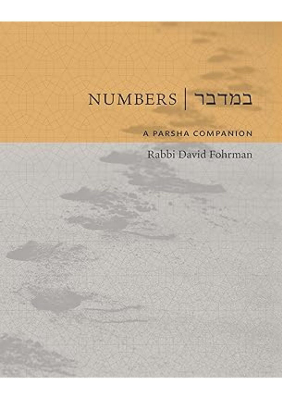 Numbers: A Parsha Companion by Rabbi David Fohrman