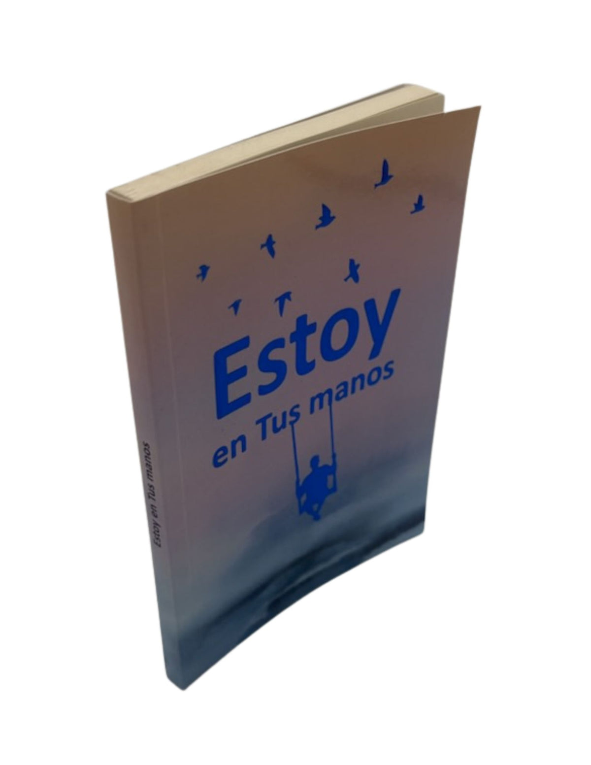 Estoy En Tus Manos R.S. Arush -I'm In Your Hands-Booklet