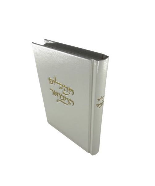 תהלים המבואר ויברך דוד