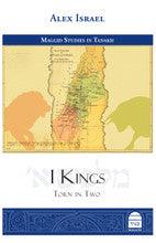 I Kings Torn in Two List Alex Israel