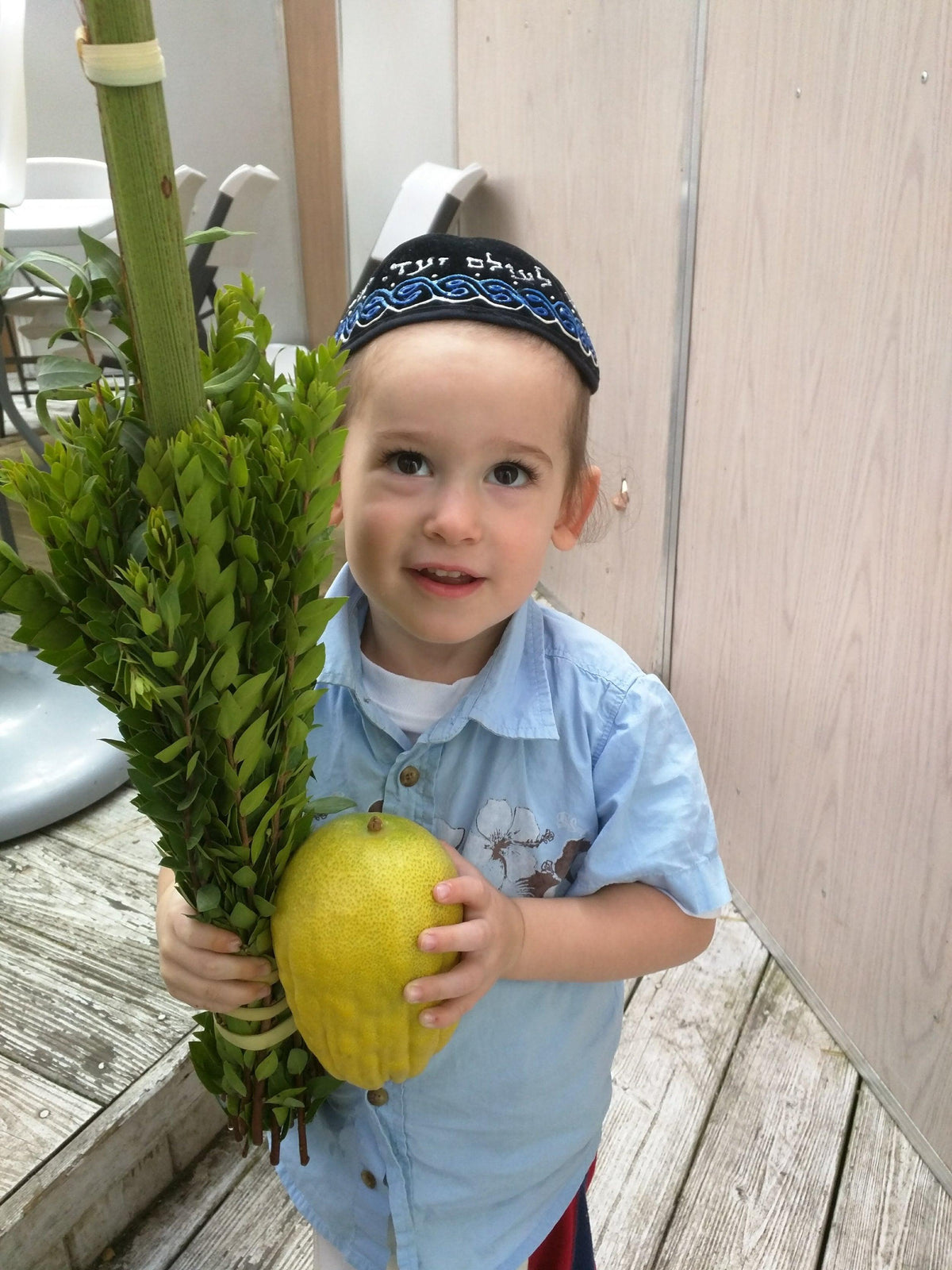 Arba'ah Minim   Chinuch Set