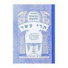 תנ"ך עם פירוש מצודות שי למורא תרי עשר