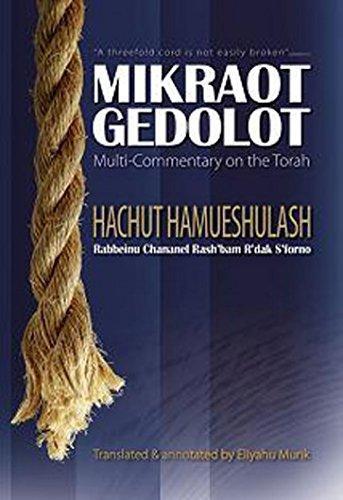 Halakhic Positions of R/ Soloveitchik Vol. 4