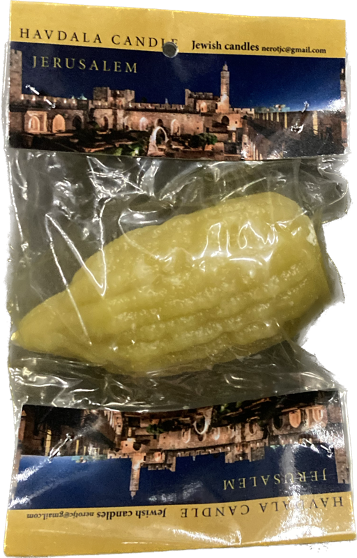 Havdallah Candle Etrog Shape Mini 1.5"x3.5" Jewish Candle (HV-HMC3X6JCS)