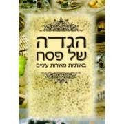 הגדה של פסח באותיות גדולות H/C 8"x11.5"