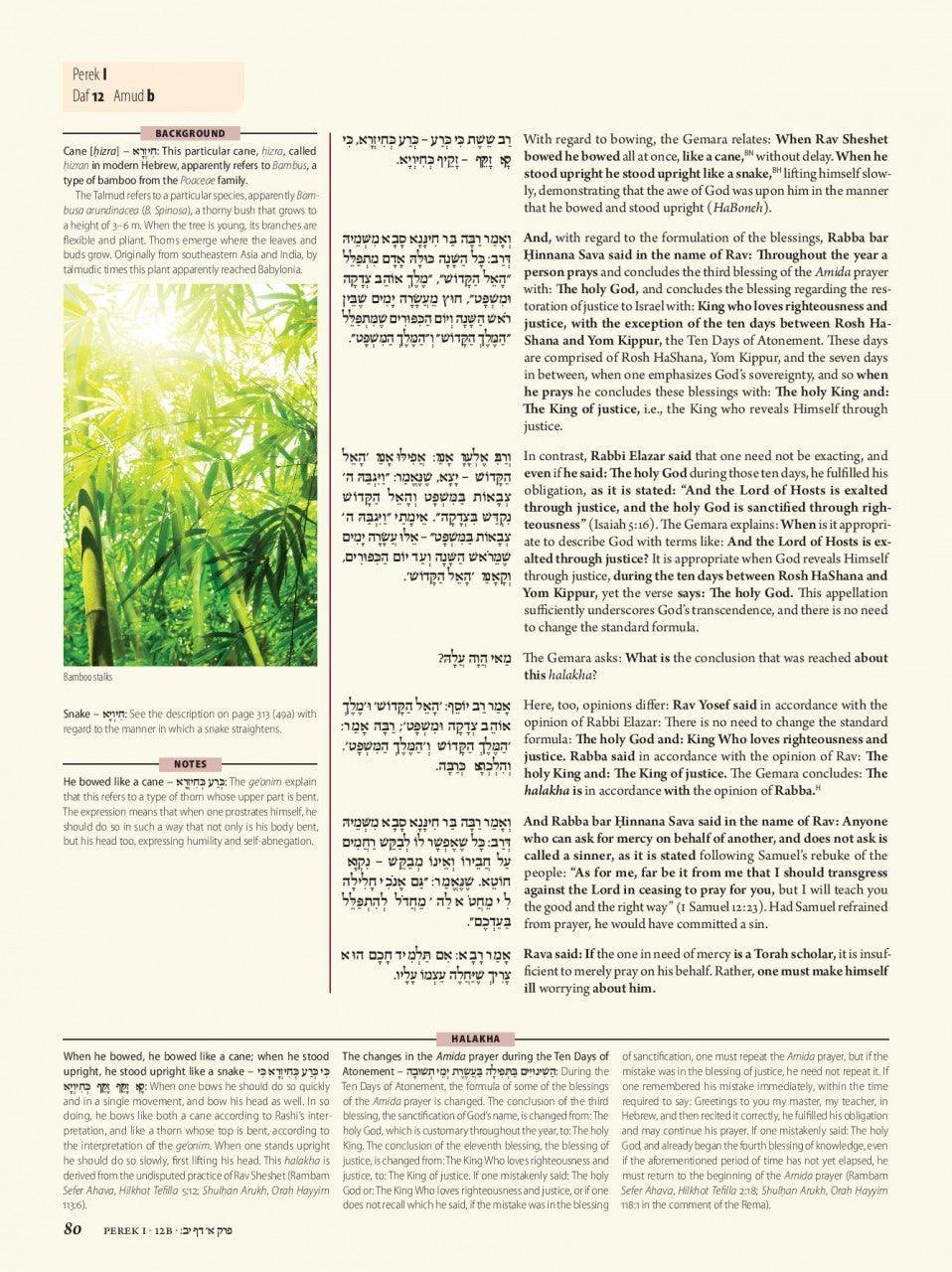 Koren Talmud Bavli Volume #1(Color) Edition Berakhot (BK-KTBC1)