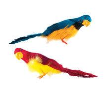 6" Bird - priced as dozen