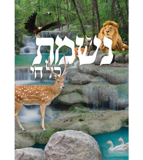 Nishmas Kol Chai Card 4x6"