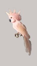 12.5" Cockatiel - Pink