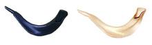Real Looking Plastic Shofar