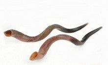 Yemenite Shofar SHY0 Mini Approx. 15"