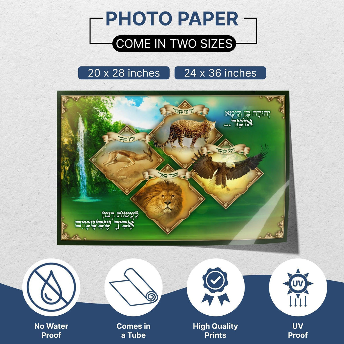 Mishna of Rabbi Yehuda ben Teima Sukkah Poster | Jewish art | Gift | Israel | Religious Prints | Jewish educational poster | Sukkah decoration - Ben-Ari Art Gallery