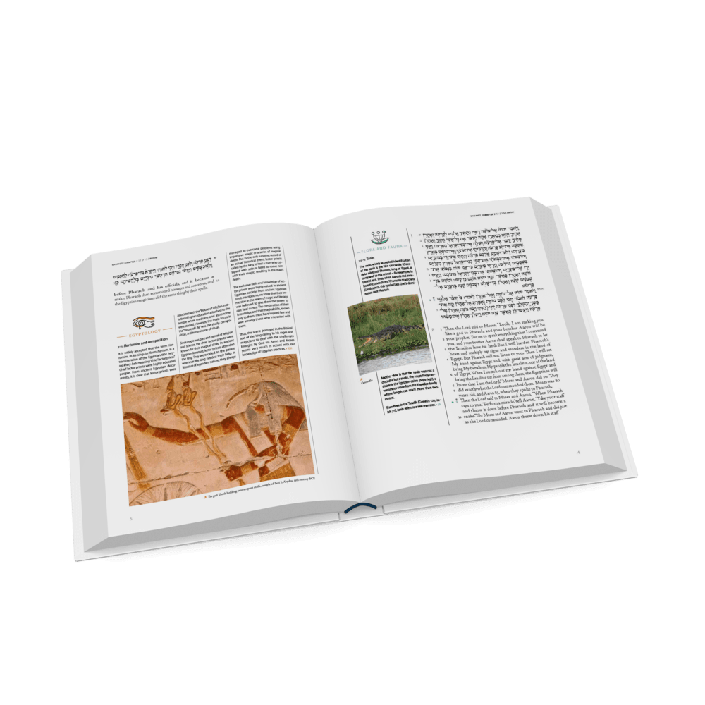 The Koren Tanakh of the Land of Israel - Exodus (BK-KTLOIS)