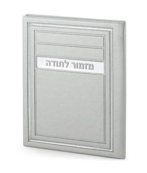 Mizmor LeTodah H/C Frame model (Gray)