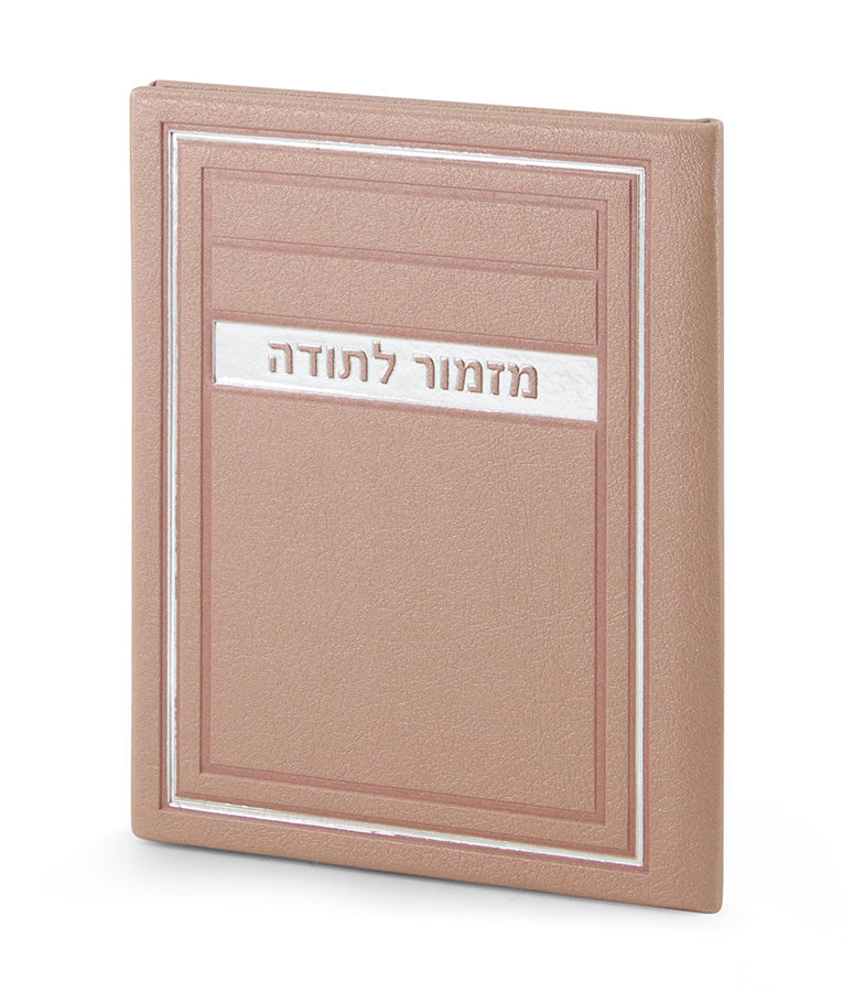 Mizmor LeTodah H/C Frame model (Silvery)