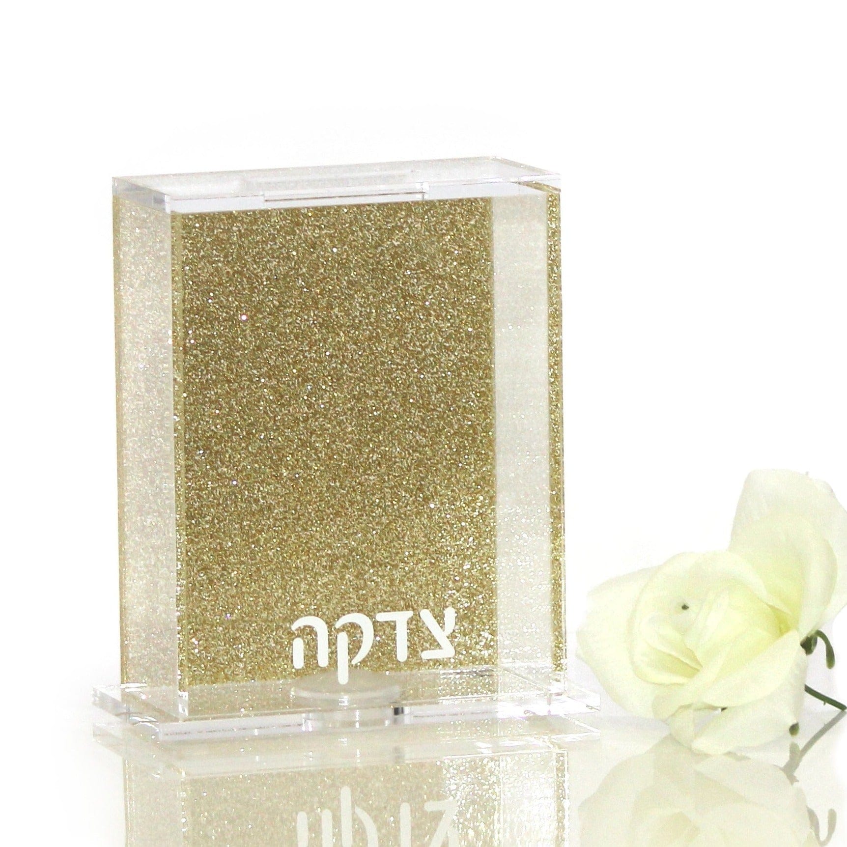 Back Color Tzedakah Box - Waterdale Collection