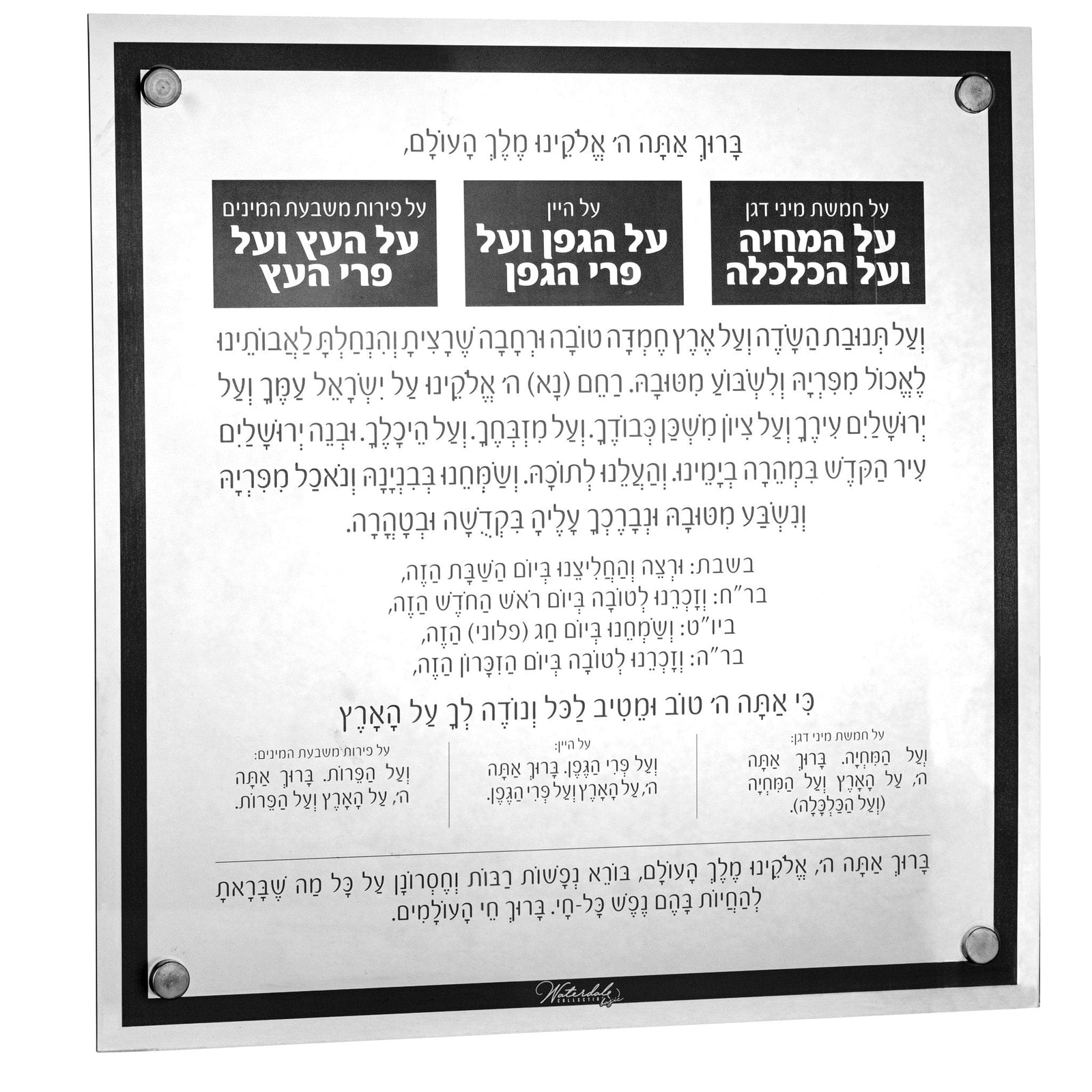 Basics Al Hamichyah - Waterdale Collection