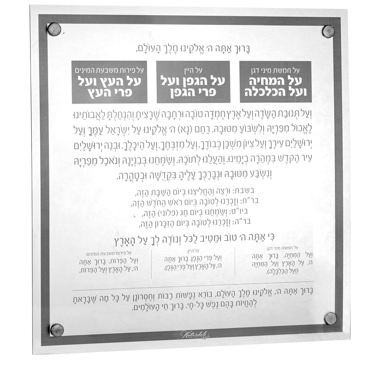 Basics Al Hamichyah - Waterdale Collection