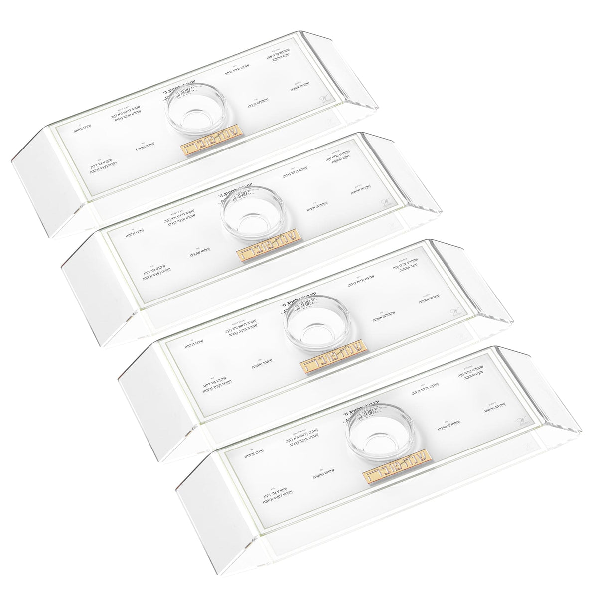 Classic 2.0 Raised Simanim Trays (4)