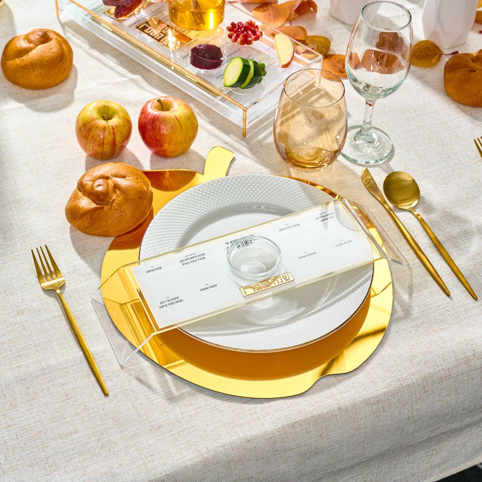 Classic 2.0 Raised Simanim Trays (4)