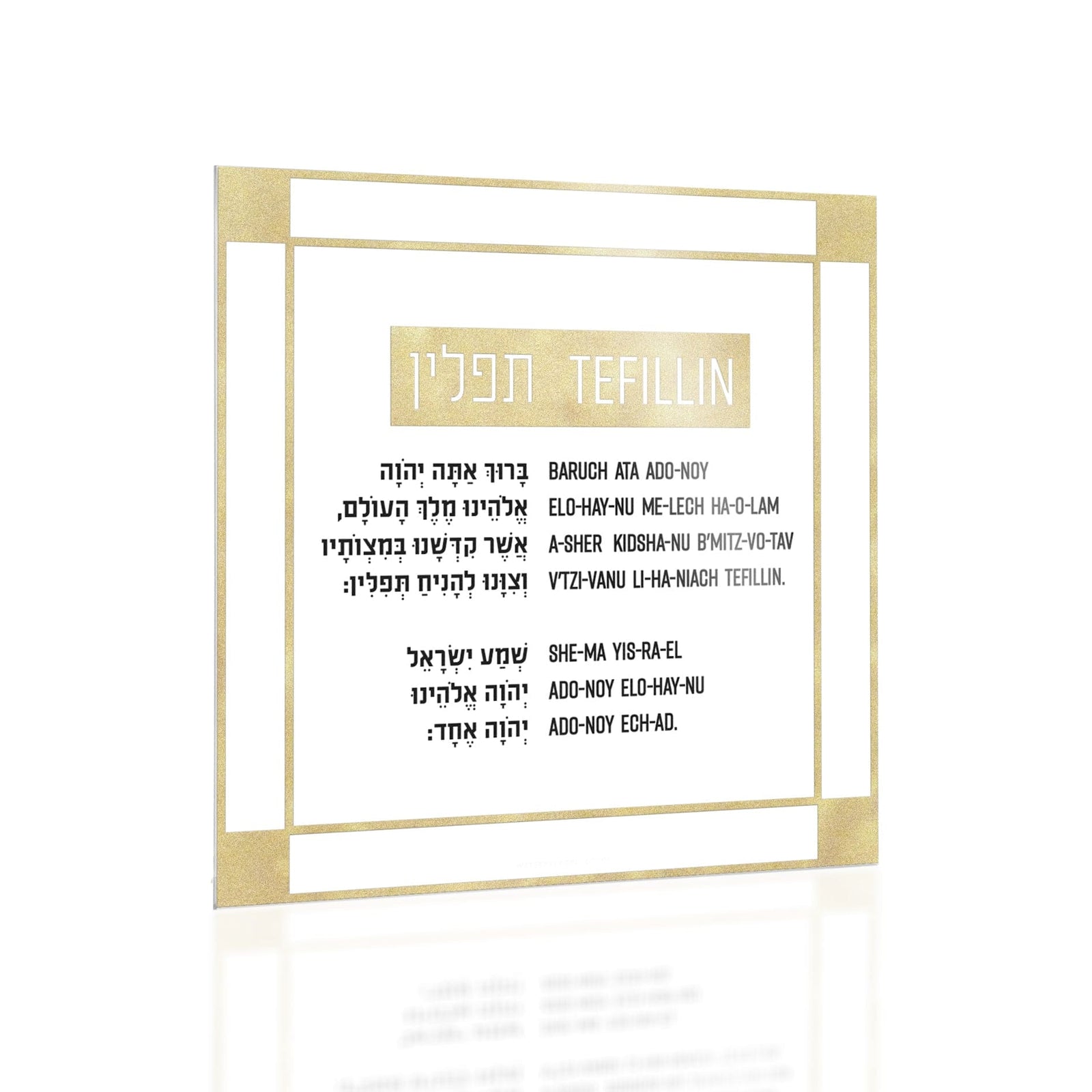 Classic 2.0 Tefillin Card