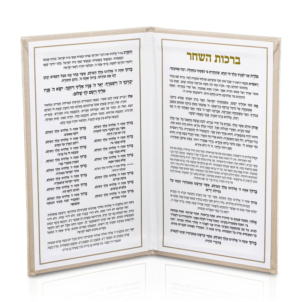 Leather Birchas Hashachar Booklet
