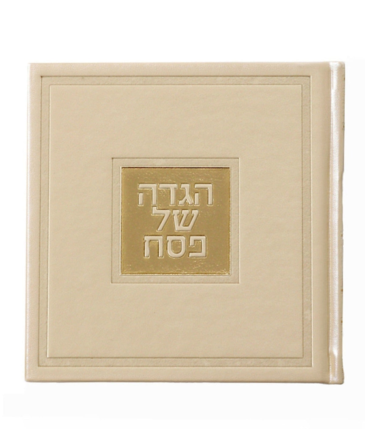 Leather Haggadah with English Instructions