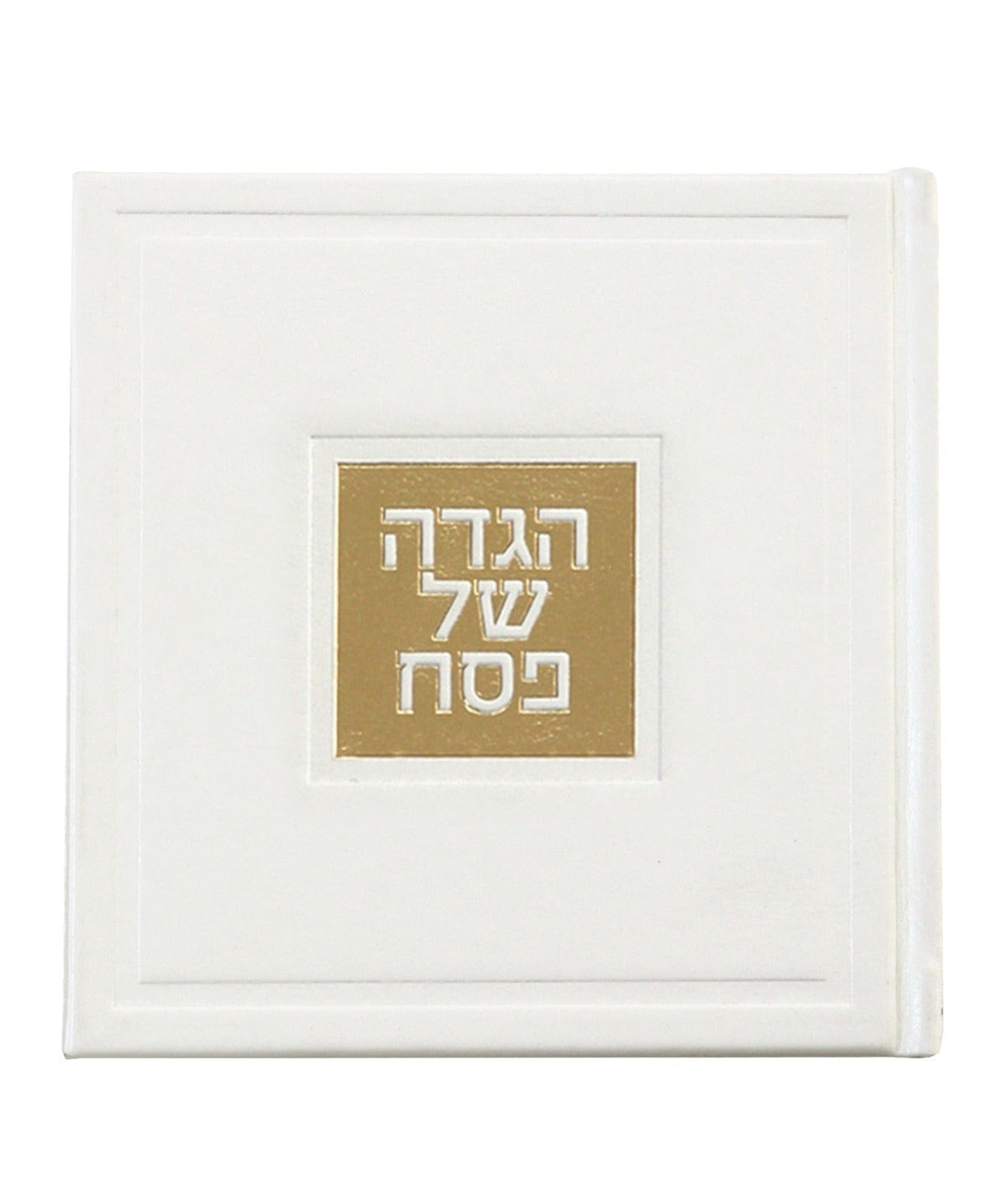 Leather Haggadah with English Instructions
