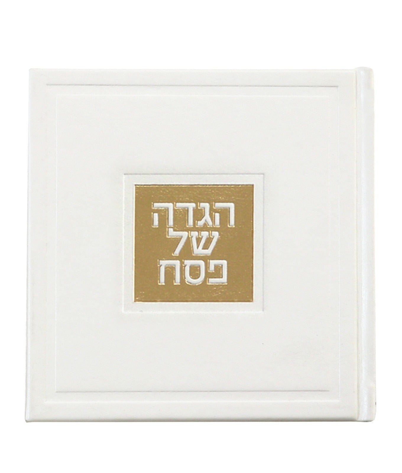 Leather Haggadah with English Instructions