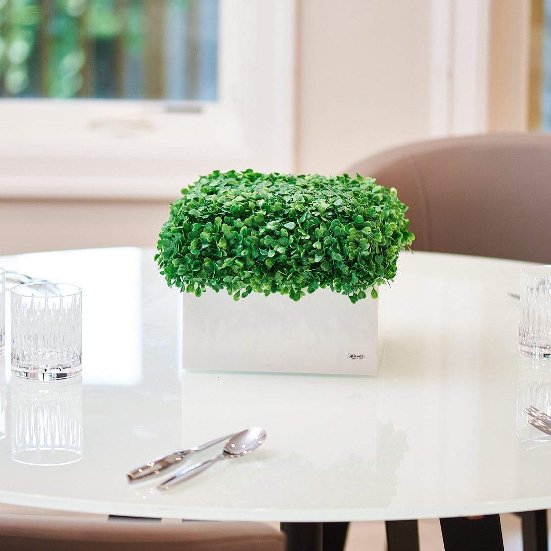 Mishloach Manos - Boxwood Vase - Waterdale Collection