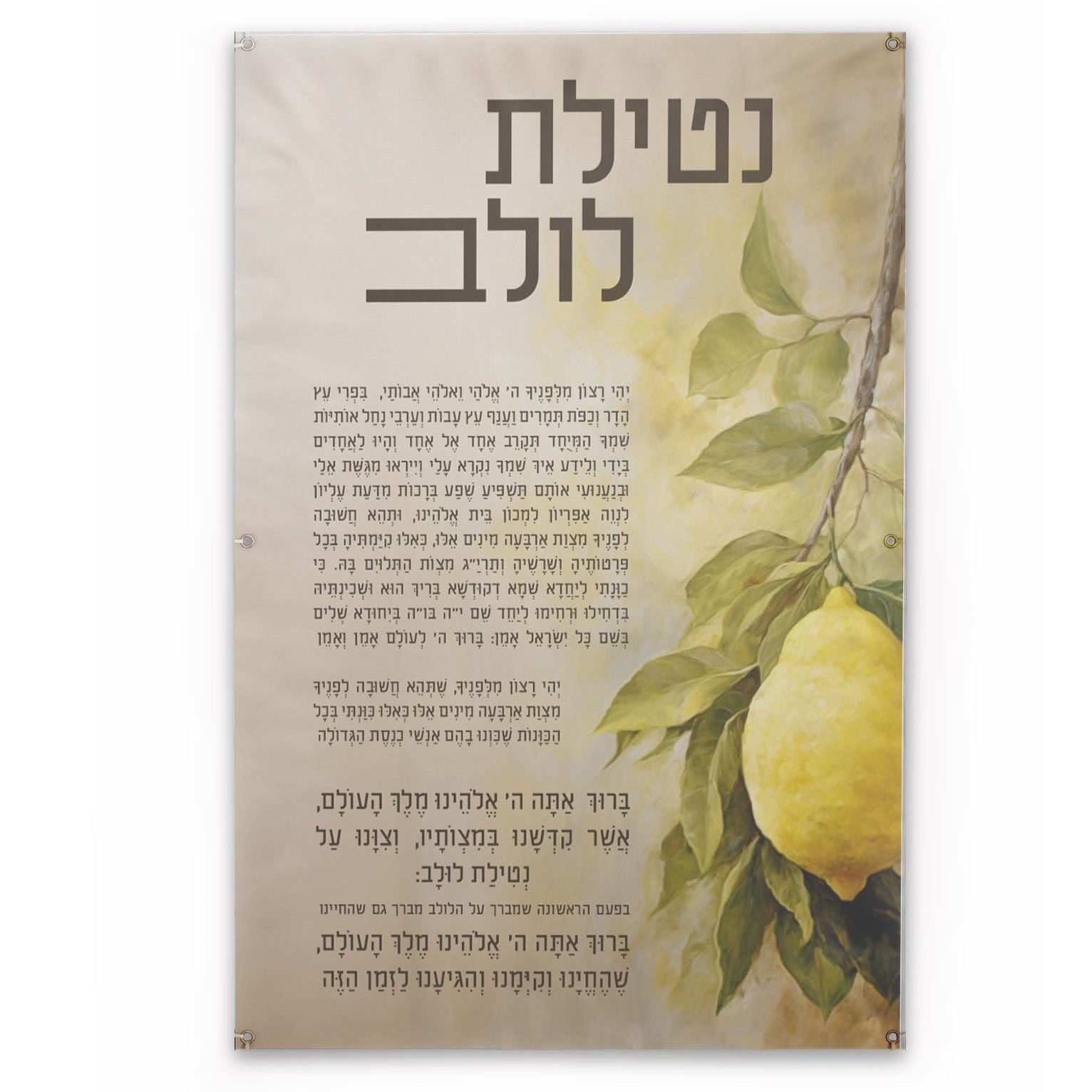 Painted by Vinyl Batya Sukkah Decoration Set