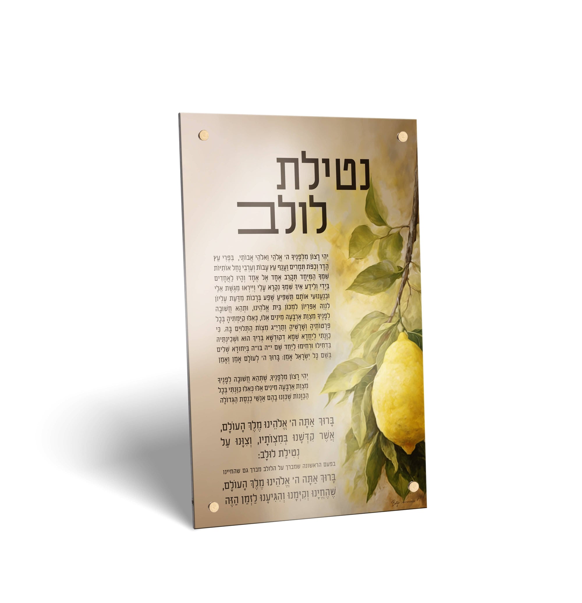 Painted by Batya Sukkah Decorations