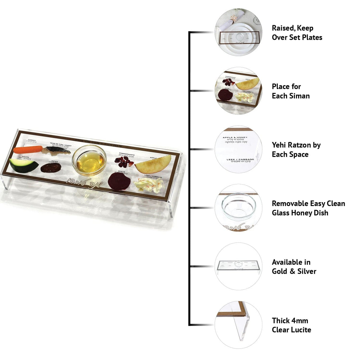 Raised Simanim Trays (4) - Waterdale Collection