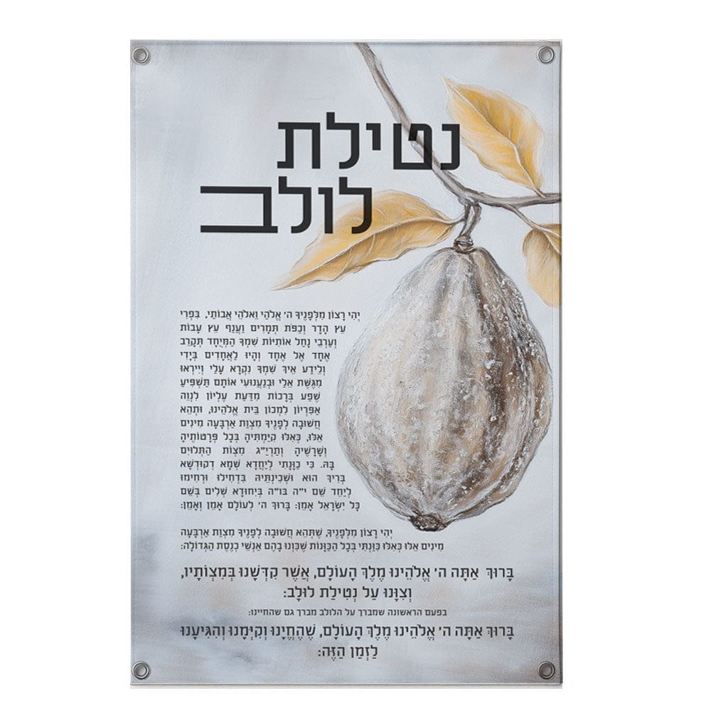 Painted by Batya Vinyl Silver Sukkah Decoration Set