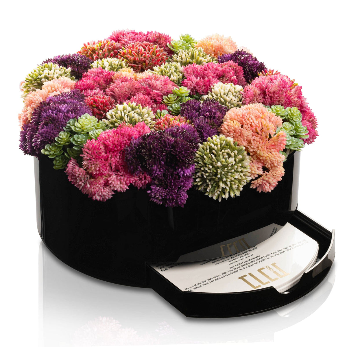 Succulent Pink Round Vase Bencher Set