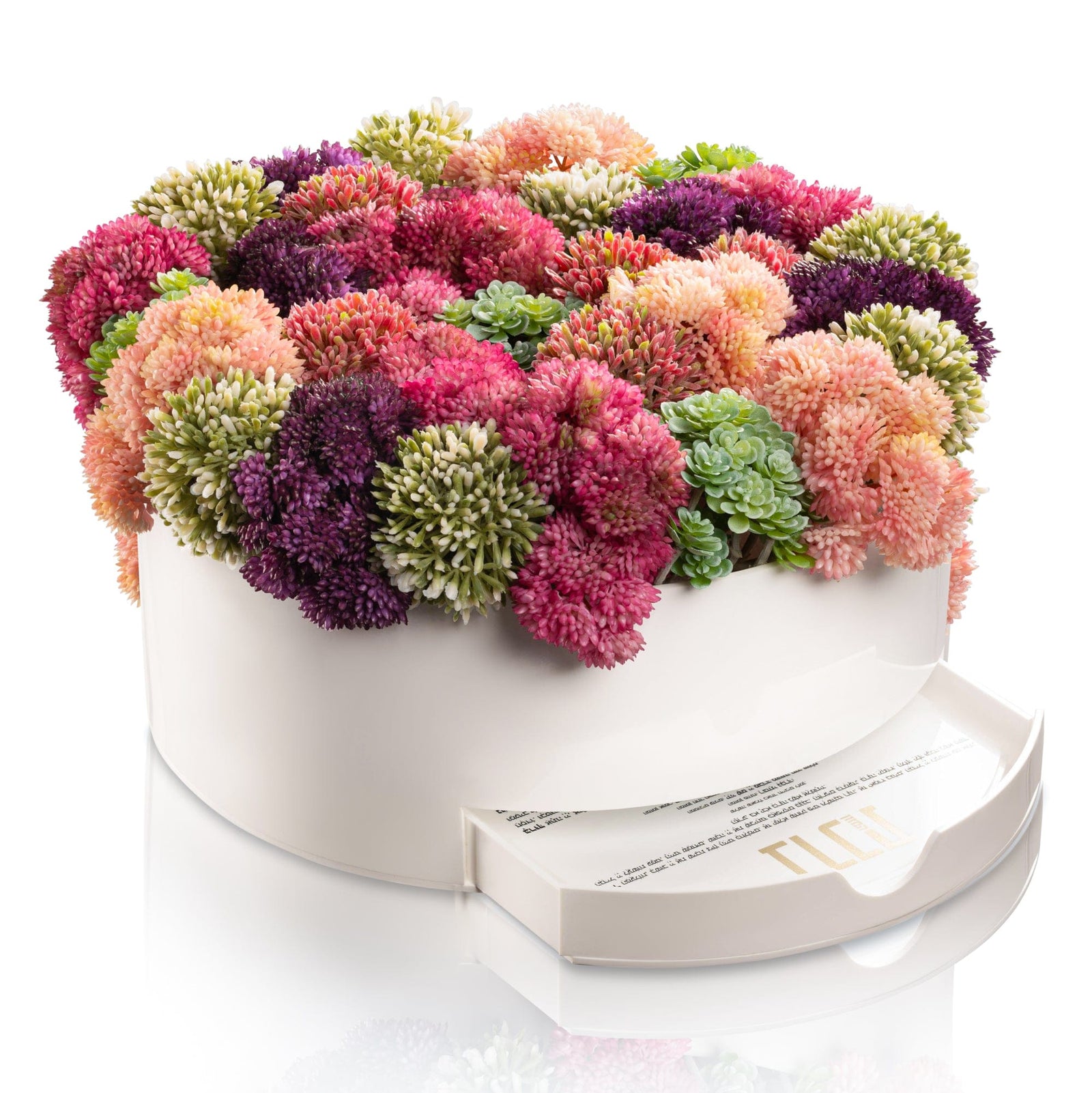 Succulent Pink Round Vase Bencher Set