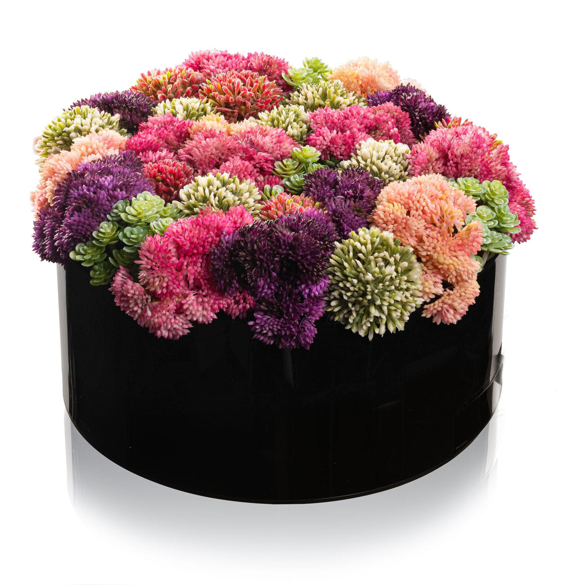 Succulent Pink Round Vase Bencher Set