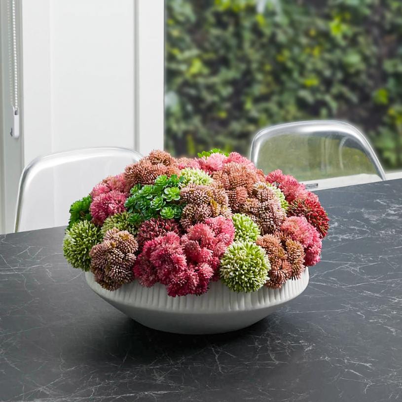 Succulent Black Flower Pot