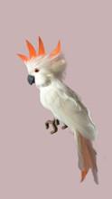 12.5" Cockatiel - White