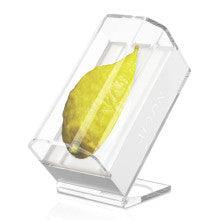 Lucite Esrog Box & Stand