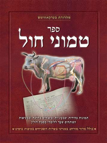 Chullin Illuminated, HEBREW Edition