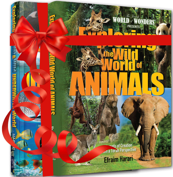 Exploring the Wild World Gift Pak
