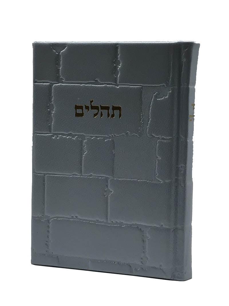 Leather Tehillim with Kotel design Light Blue