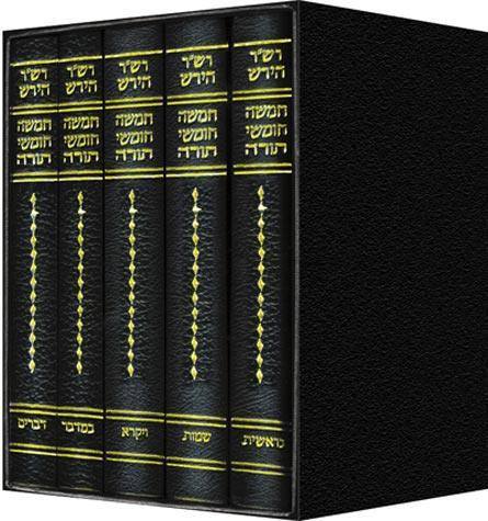 Open My Heart to Your Torah