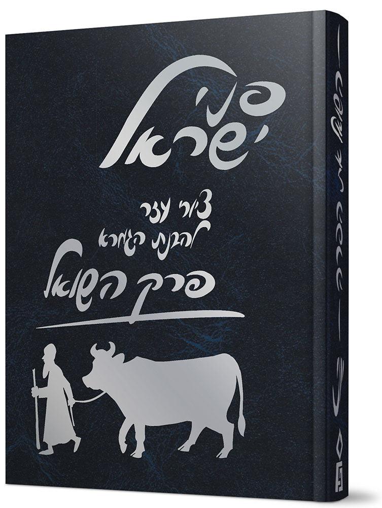 Penei Yisroel, Perek Hashoel