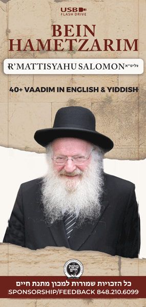 Rav Mattisyahu Salomon Vaadim - Bein Hametzarim - USB