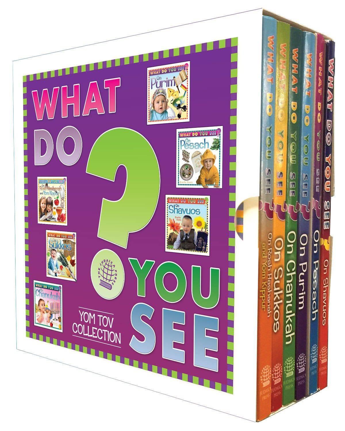 What Do You See? Yom Tov Set (6 vols.)